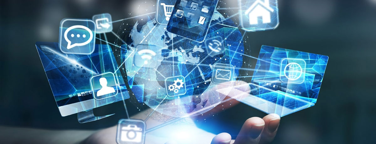 Government and NGO Portfolio