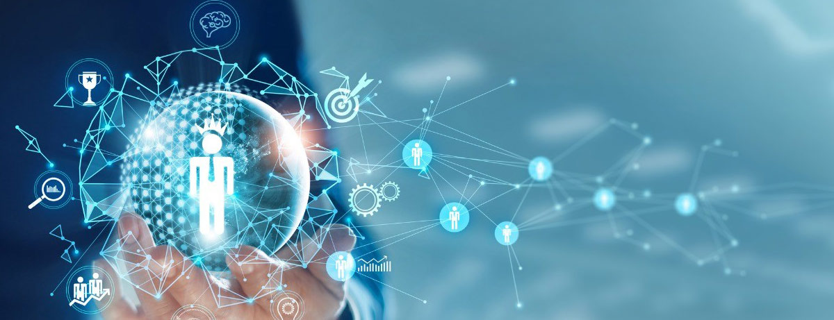 Government and NGO Portfolio